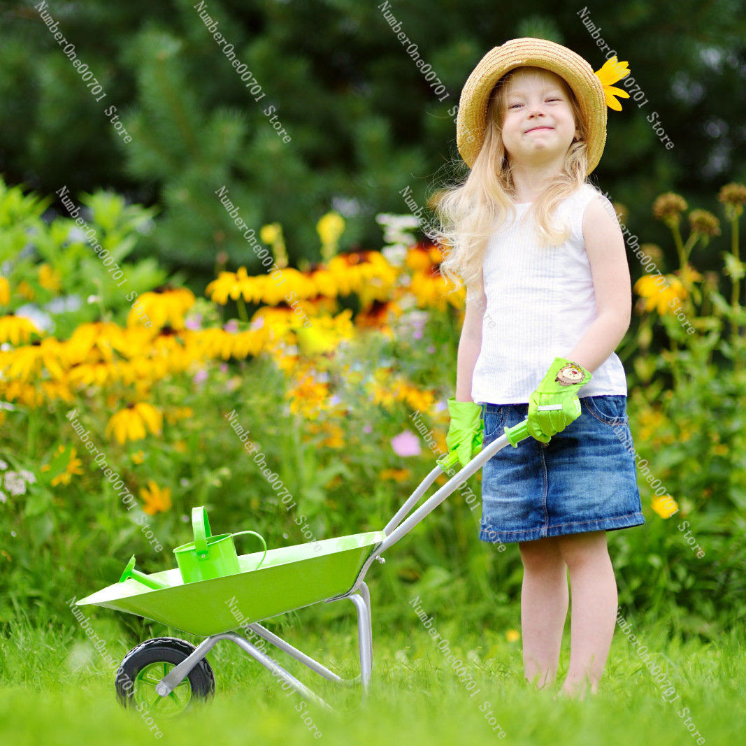 Kids Outdoor Wheelbarrow, Gree - Kids Outdoor Garden Set ulasan dan harga